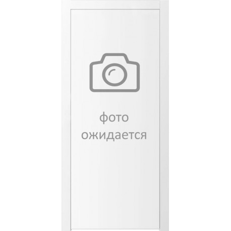 Двери PAINT-10