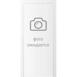 Двері PAINT-11