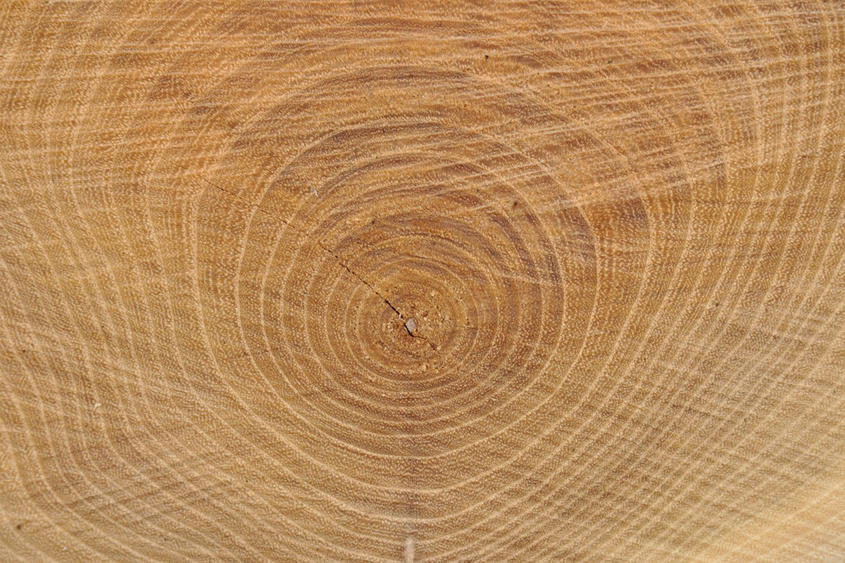 Дуб для виготовлення дверей