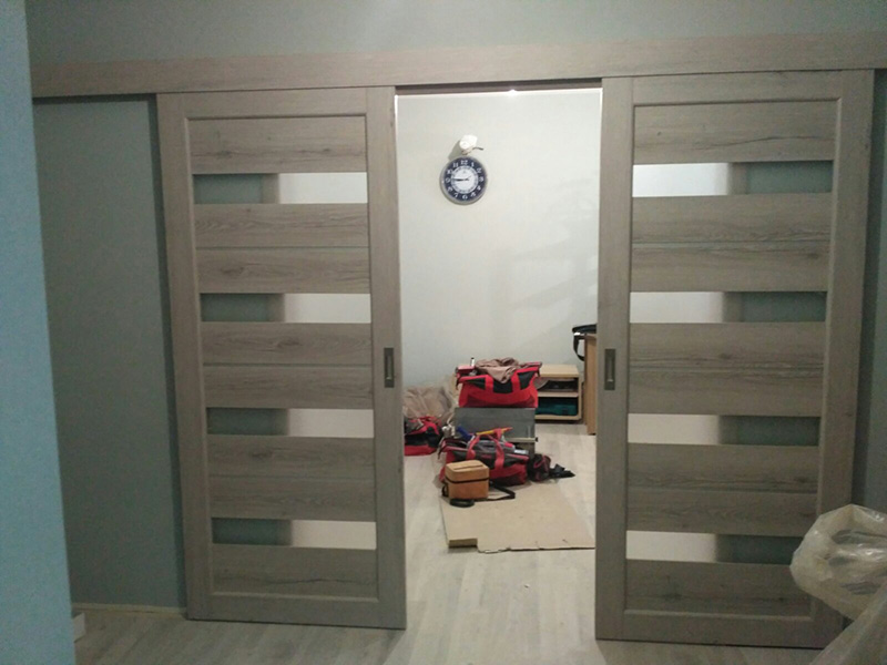 Элегантные раздвижные двери в зал фото в современном стиле