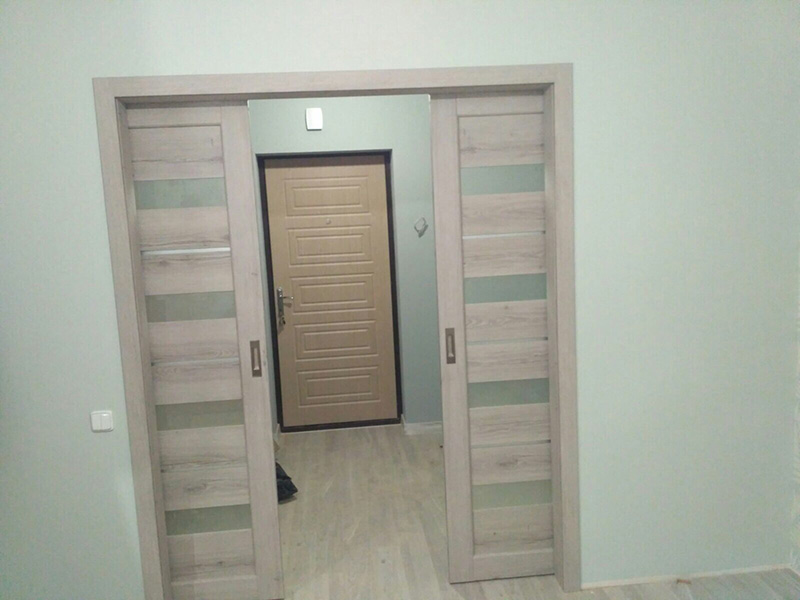 Элегантные раздвижные двери в зал фото в современном стиле